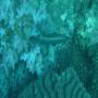 DSC00101.JPG