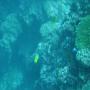 DSC00103.JPG
