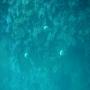 DSC00106.JPG