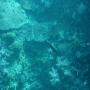 DSC00109.JPG