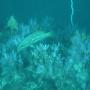 DSC00110.JPG