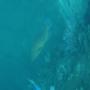 DSC00111.JPG