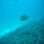 DSC00125.JPG