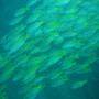 DSC00131.JPG