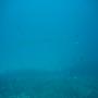 DSC00133.JPG