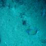 DSC00137.JPG