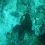 DSC00139.JPG