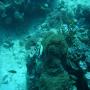 DSC00161.JPG