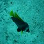 DSC00164.JPG
