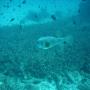 DSC00168.JPG