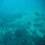 DSC00174.JPG