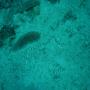 DSC00187.JPG