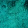 DSC00188.JPG