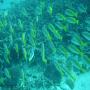 DSC00194.JPG