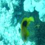 DSC00212.JPG