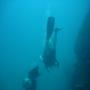 DSC00216.JPG