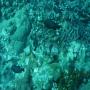 DSC00228.JPG