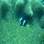 DSC00230.JPG