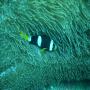 DSC00231.JPG