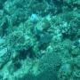 DSC00232.JPG