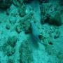 DSC00236.JPG