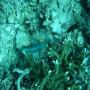DSC00237.JPG