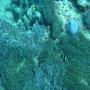 DSC00243.JPG