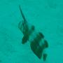 DSC09223.JPG