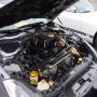 DSC04546.JPG